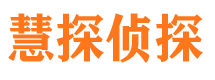 昭阳市侦探公司